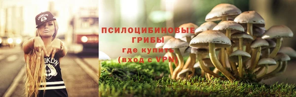 прущий лед Алексеевка