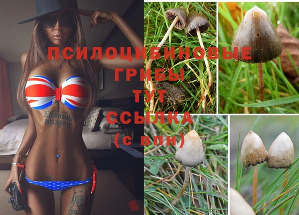 прущий лед Алексеевка