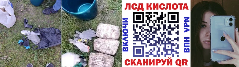 Купить закладки  Волосово  Лсд 25 экстази кислота 