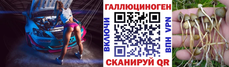 Купить закладки  Волосово  Галлюциногенные грибы ЛСД 